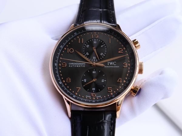 アイ・ダブリュー・シー内部構造